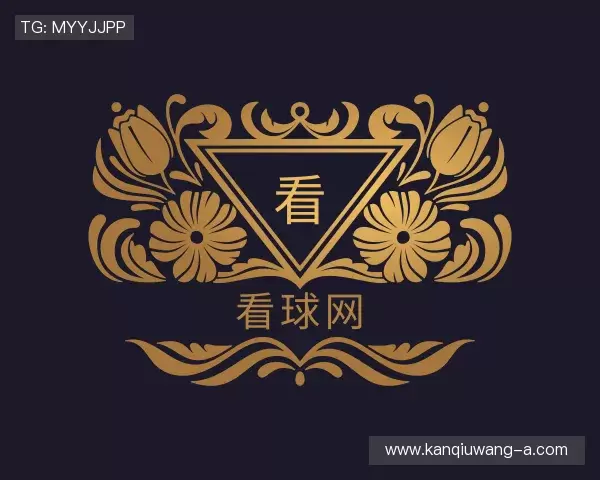 介绍看球网